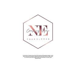 Initial letter NE Feminine logo beauty monogram and elegant logo design, handwriting logo of initial signature, wedding, fashion, floral and botanical with creative template vector