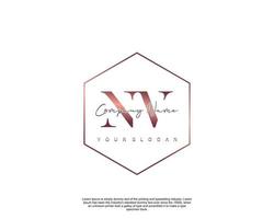 Initial letter NV Feminine logo beauty monogram and elegant logo design, handwriting logo of initial signature, wedding, fashion, floral and botanical with creative template vector