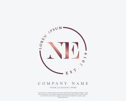 Initial letter NE Feminine logo beauty monogram and elegant logo design, handwriting logo of initial signature, wedding, fashion, floral and botanical with creative template vector