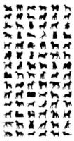 Silhouettes of different breeds of dog. A vector illustration