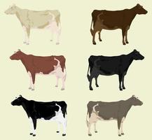 vaca en el campo. una ilustración vectorial vector