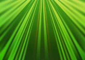 Light Green vector pattern with narrow lines.