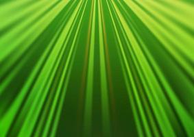 Light Green vector pattern with narrow lines.