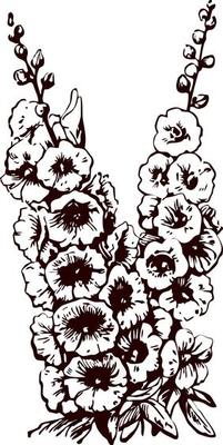 Flowers mallow - hand drawn vector illustration, stylized as engraving