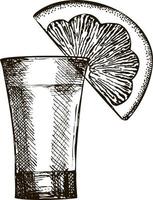 Tequila. Hand drawn vector illustration. Shot of tequila and lime