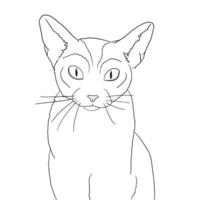 Cat Line Art, Animal Illustration, Minimalist Outline Drawing, Kitty Sketch, Vector File, Black Draw