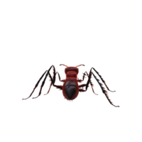 formiga 3d isolada png