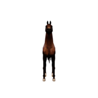 3D-arabisches Pferd png