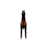 caballo árabe 3d png