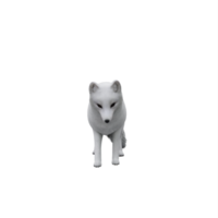 3d white Arctic Fox png