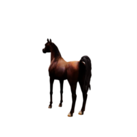 3d Arabian Horse png