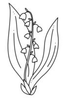 Lily of the Valley doodle. Hand drawn outline vector illustration.