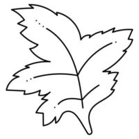Maple Leaf doodle absrtact. Hand drawn outline vector illustration.