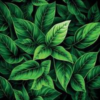 Texture of green leaves, green background pattern - Vector