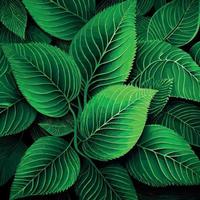 Texture of green leaves, green background pattern - Vector