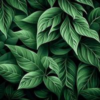 Texture of green leaves, green background pattern - Vector