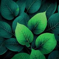 Texture of green leaves, green background pattern - Vector