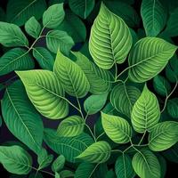 Texture of green leaves, green background pattern - Vector