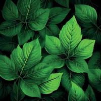 Texture of green leaves, green background pattern - Vector