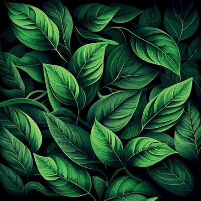 Texture of green leaves, green background pattern - Vector