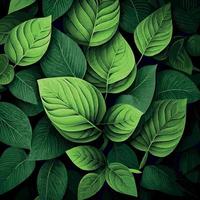 Texture of green leaves, green background pattern - Vector