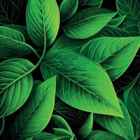 Texture of green leaves, green background pattern - Vector