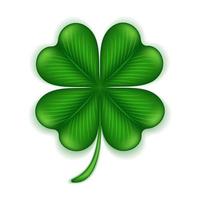 Four leaf clover 3d isolated on white background. Clover leaf, the symbol of St. Patricks Day and the national emblem of Ireland. Vector illustration.