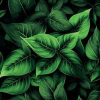 Texture of green leaves, green background pattern - Vector