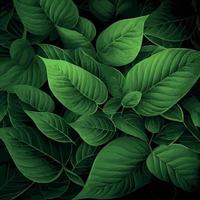 Texture of green leaves, green background pattern - Vector