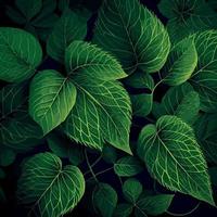 Texture of green leaves, green background pattern - Vector