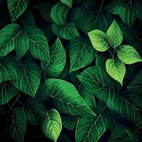 Texture of green leaves, green background pattern - Vector