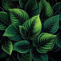 Texture of green leaves, green background pattern - Vector