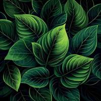 Texture of green leaves, green background pattern - Vector