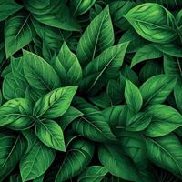 Texture of green leaves, green background pattern - Vector