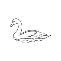 swan line art drawing illustration vector