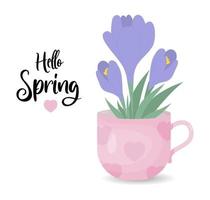 Spring bouquet with Crocus flower. Purple saffron in cup. hello spring. Vector illustration in flat style for postcards, design, print, decor, covers.