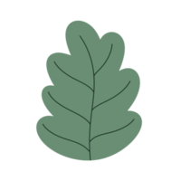 icono de elemento de hoja. png