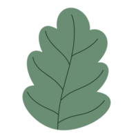 Leaf element icon. png