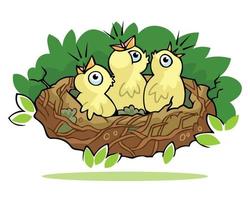 bird nest vector illustration