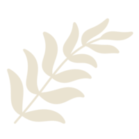 Palm three leaf element icon. png