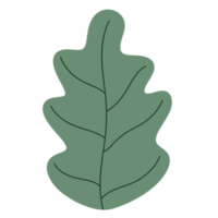 Leaf element icon. png