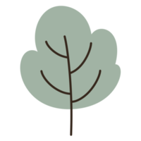 albero icona ecologia concetto natura. png