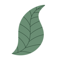 icono de elemento de hoja. png