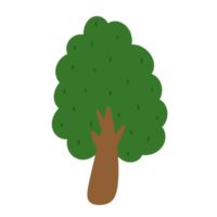 árbol icono ecología concepto naturaleza. png