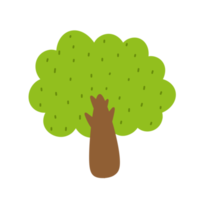 boom icoon ecologie concept natuur. png