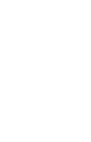 line art tropical leaves. png