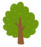 icono de árbol verde. png
