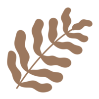 Palm three leaf element icon. png