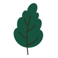 árbol icono ecología concepto naturaleza. png