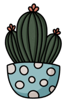 Cute cactus in pot icon. png